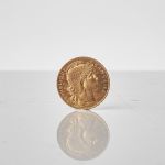 1338 5633 GOLD COIN